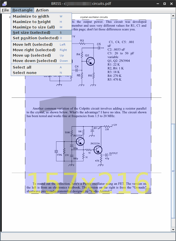 BRISS PDF Crop main window