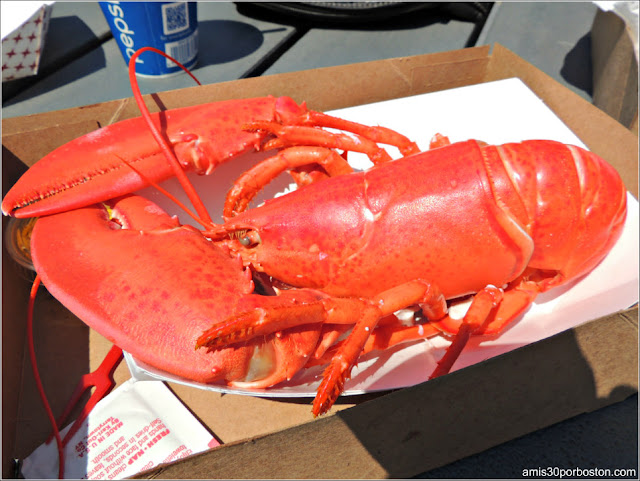 Lobster Shacks en la Costa Sur de Maine: Langosta en el Fox's Lobster House