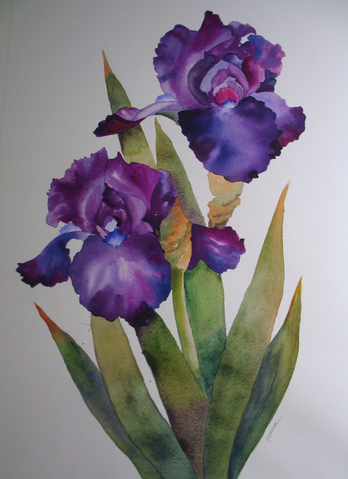 Nel's Everyday Painting: Purple Iris Variety - SOLD