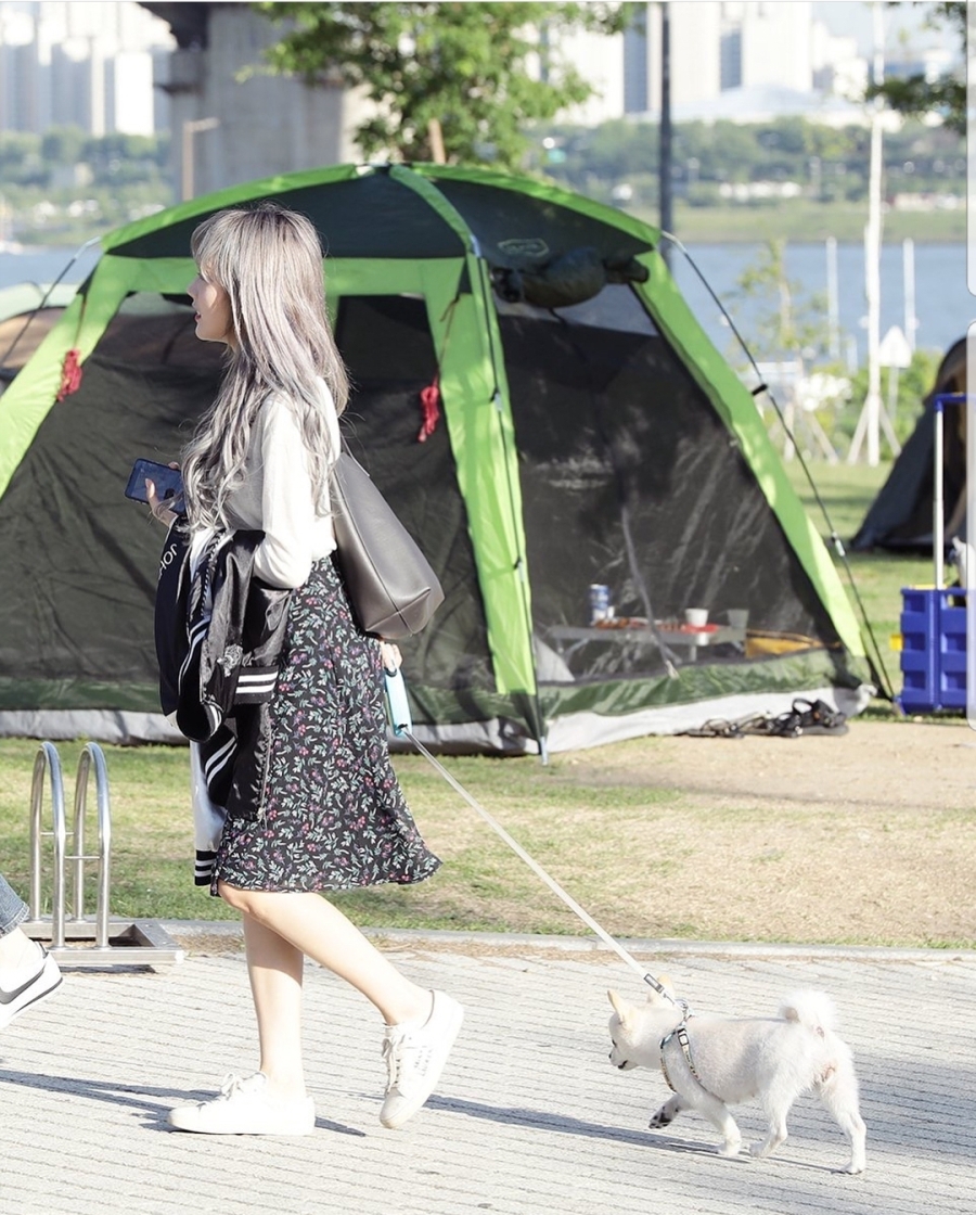 강아지랑 산책하는 우주소녀 루다 | 인스티즈