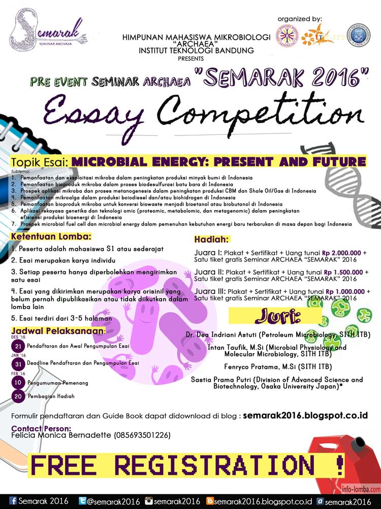 Essay writing competition 2021 picture