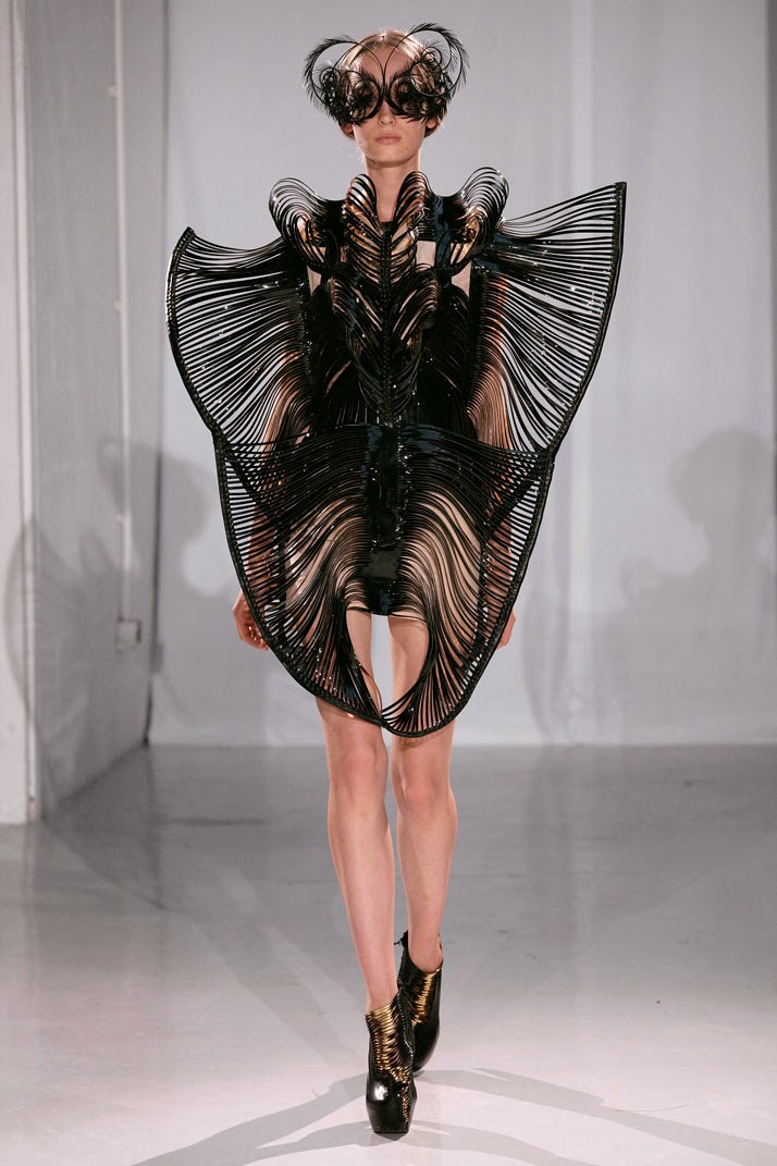 Things to Live Without... unless you don't have to.: Iris van Herpen