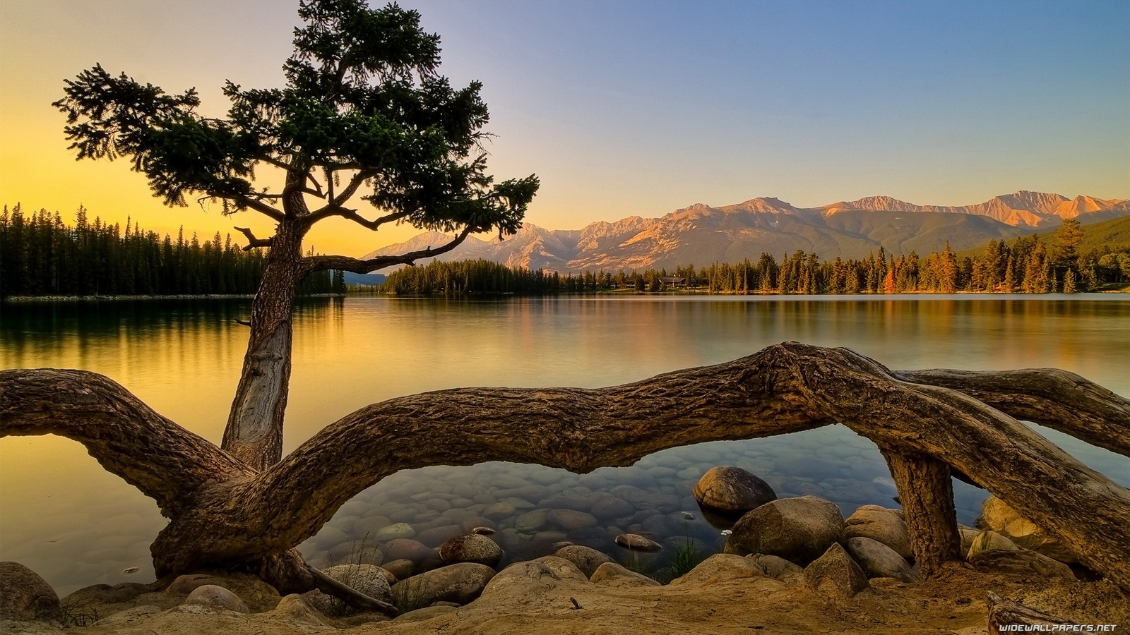 Wallpaper Hd Nature Wallpaper Hd Nature
