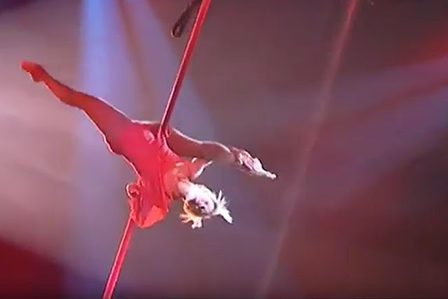 Stempel Biene Meine Geburtstagspost Und Geschenke