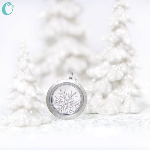Snowflake Origami Owl Living Locket at Think Goodness