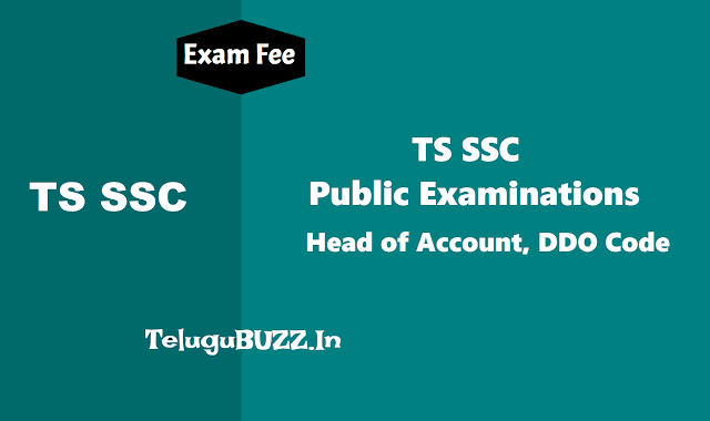 TS SSC 2019 Exams Fee Head of Account, DDO Code ts ssc exams fee head of account,ddo code,bse telangana ssc exams fee,head of account,0202-education, sports,arts and culture,01-general education,102-secondary education, 06director government examinations,800-user charges,ddo code:25000303001