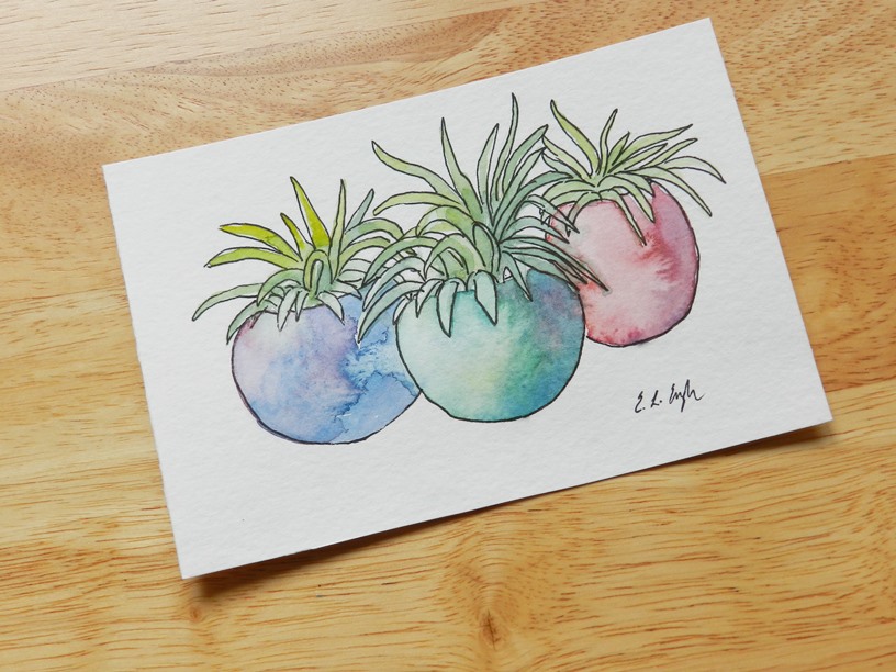 Watercolor Cactus by Elise Engh