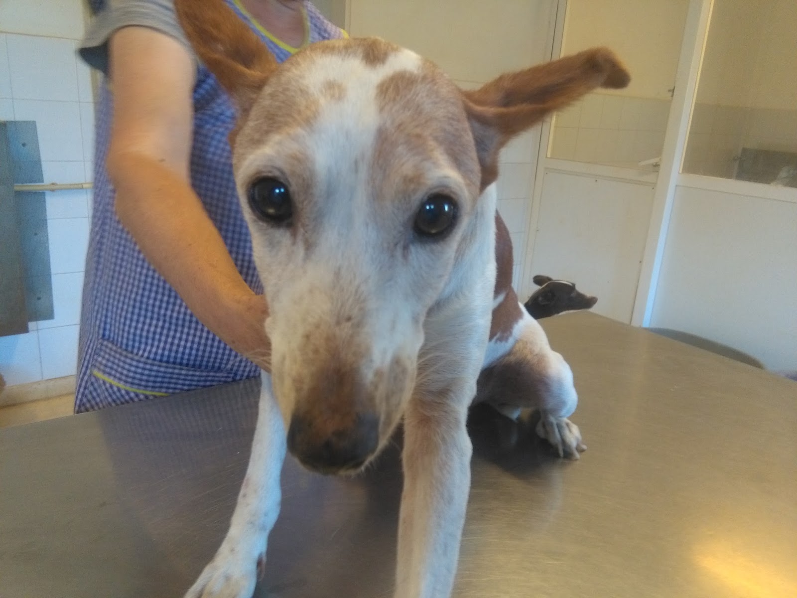 Liebe In Freundschaft Verwandeln Wann Es Gelingt Und Wann Nicht