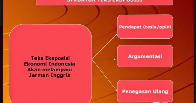 Contoh Contoh Eksposisi Klasifikasi - Contoh Bee