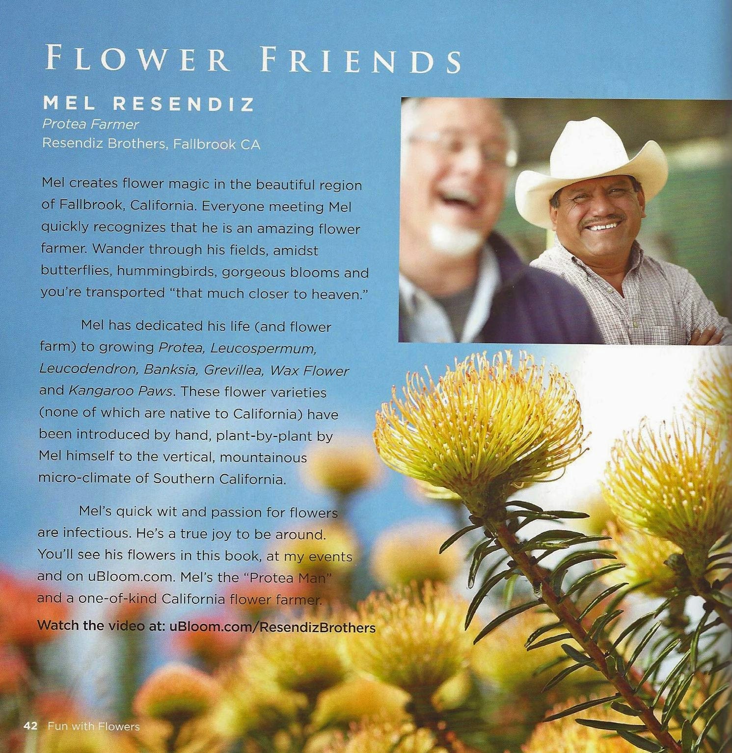 A Passion for Flowers A Book Review of Fun with Flowers by J Schwanke