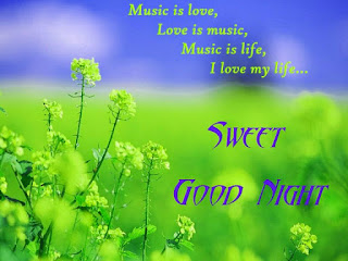 Beautiful Good Night Images For Whatsapp Beautiful Good Night Images For Whatsapp