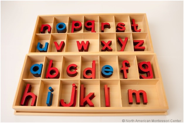Introducing the Montessori Movable Alphabet to the Preschool Student
