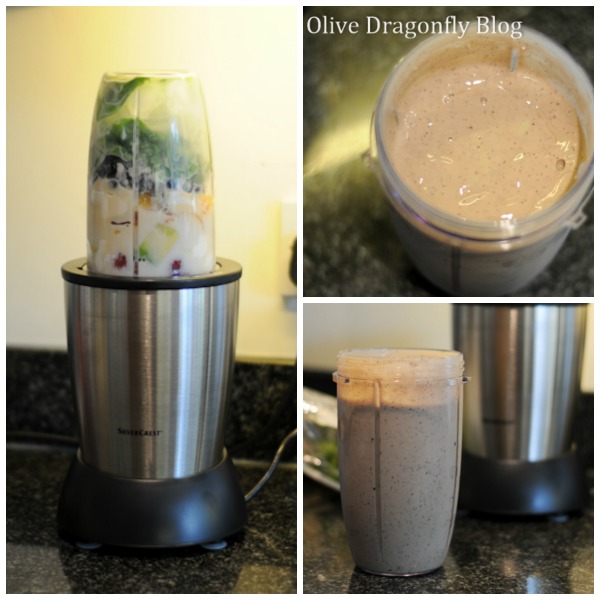 Olive Dragonfly Lidl Nutrition Mixer Pro review by Bex