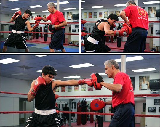 Boxing Circuit Example Components of Fitness