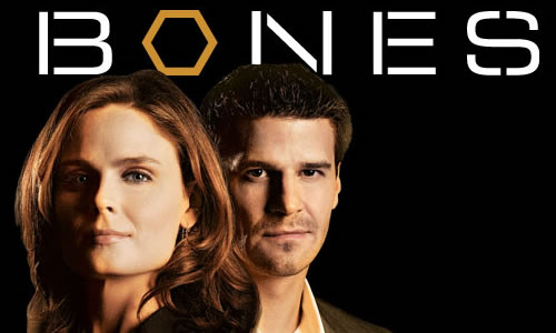 Tv Zone: Watch Bones Season 7 Episode 7 Free Online