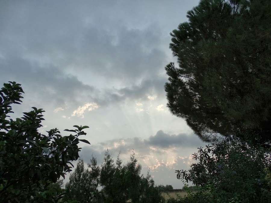 AMANECER EN EL TERRAO