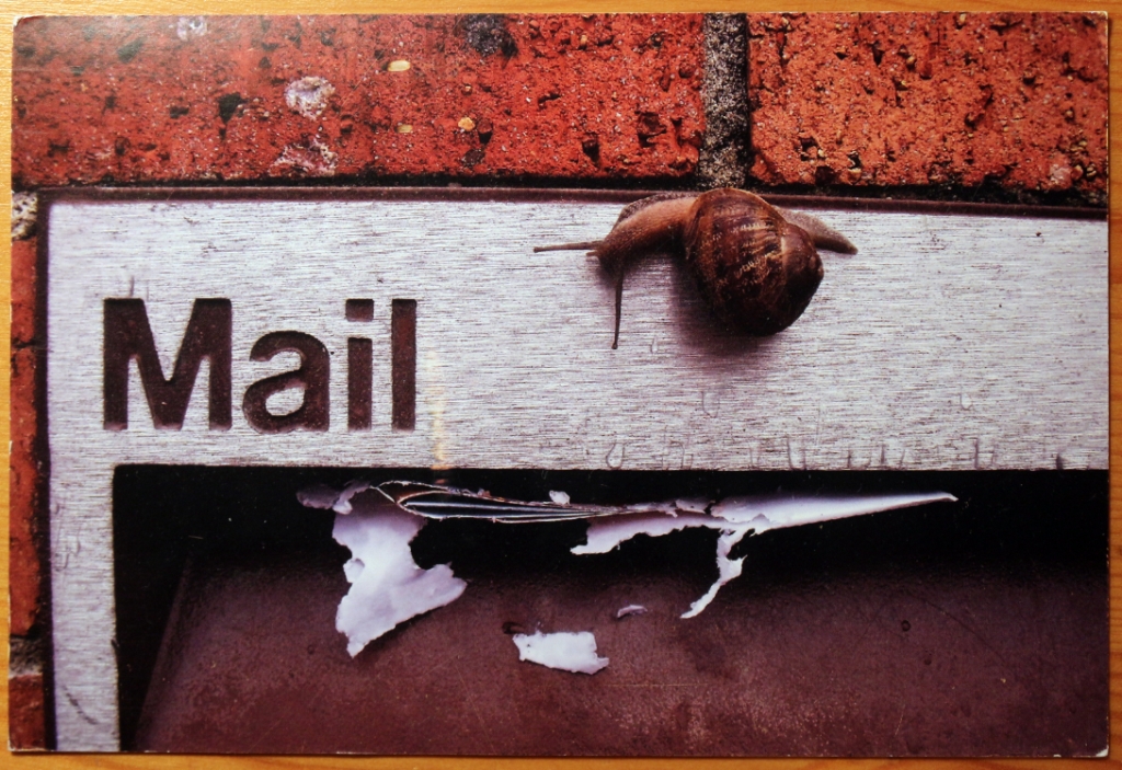 Mail Adventures Snails by Snail Mail