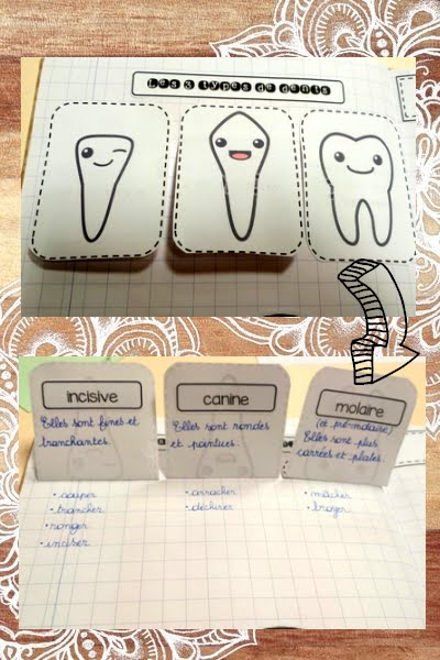 La classe de Laura Les dents