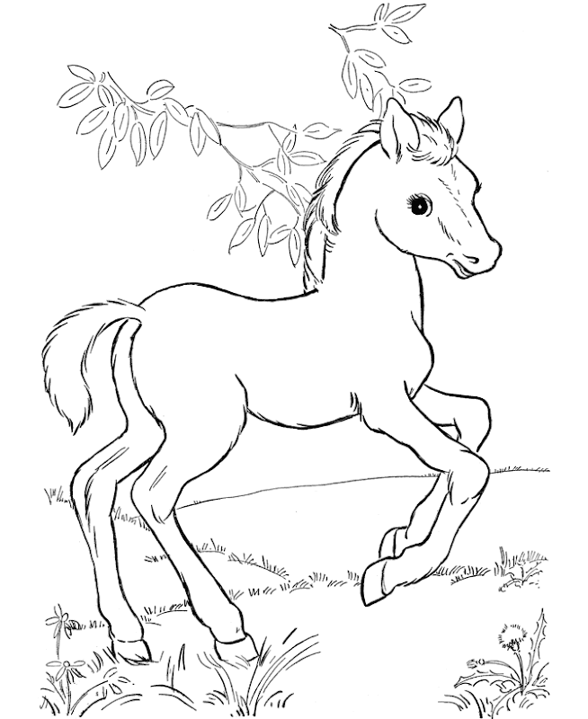 year of the horse coloring pages - photo #29