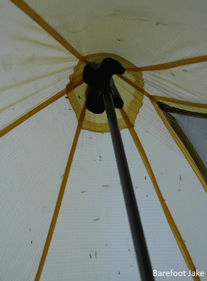 Locus Gear Khufu Hoh Rainforest Bugs