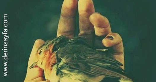 &quot;Ayrılmaz deme sakın, ayrılır.. Et tırnaktan, koyun kuzudan.. Yavru