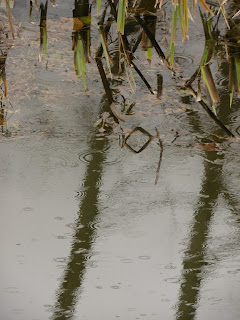 canal de Lalinde,carré,  malooka