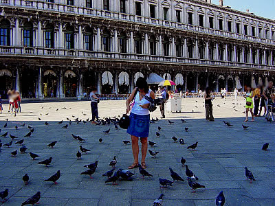 Resultado de imagem para imagem para pombos napracado vaticano