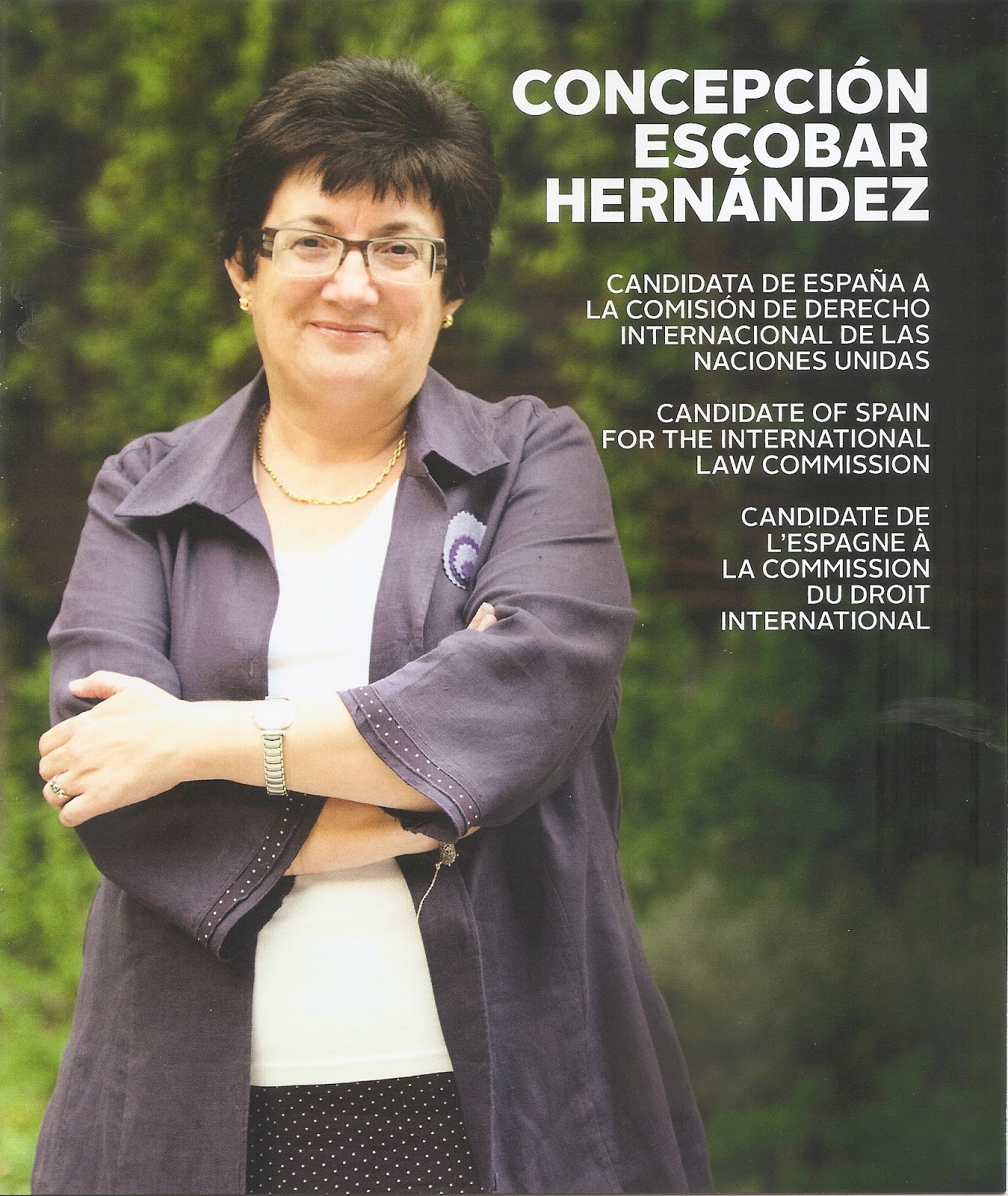 CONCEPCIÓN HERNÁNDEZ Miembro de la Comisión de Derecho Internacional ACTIVIDAD PROFESIONAL