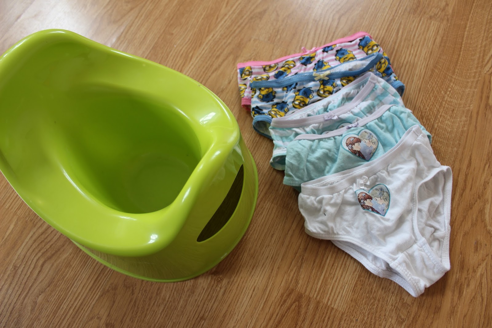Potty Training at 2 Years Old Tips & Tricks Emily and Indiana