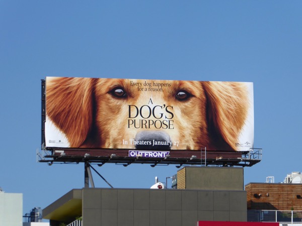 Dog S Purpose Scandal Footage Dog S Purpose Scandal Footage