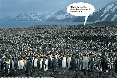 Heard from the crowd of penguins... 'I hate is when they close the pool for maintenance!'