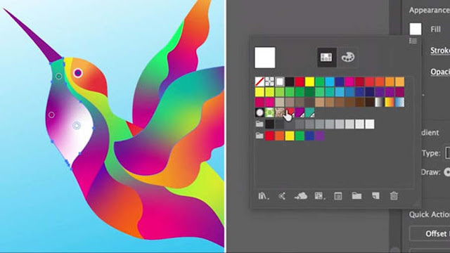 Adobe illustrator 2019