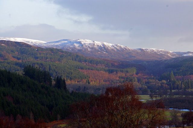 Eagle Brae Scottish Highlands Eagle Brae Scottish Highlands