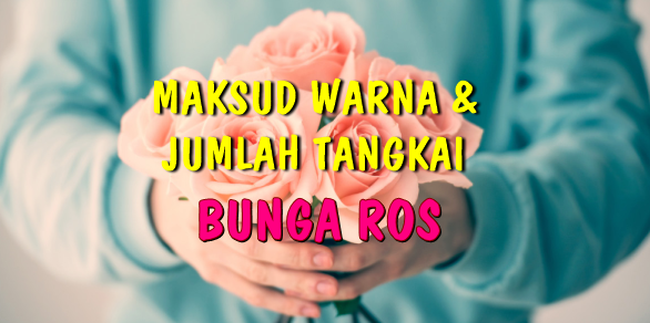 Maksud bunga ros Maksud bunga ros
