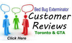 Toronto Exterminator Reviews