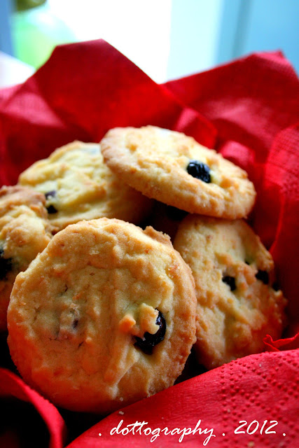 dottology: coconut &amp; cranberry cookies