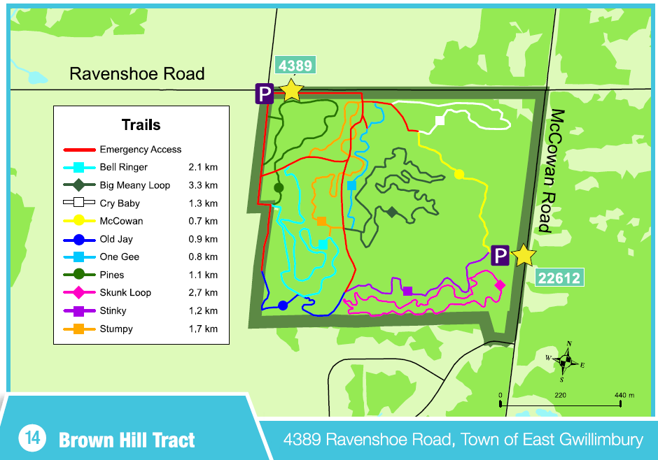 Shawn's Bicycle Adventures Mountain Biking in the York Regional Forest