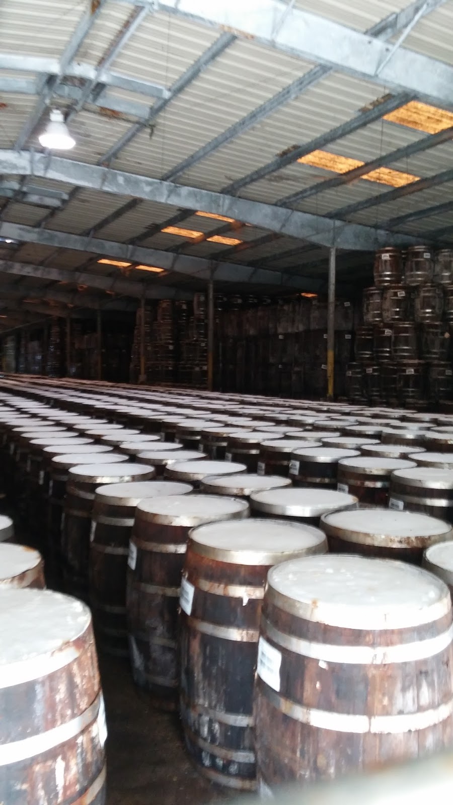 Where in the USA RV? Betty's RV Park, Abbeville, Louisiana