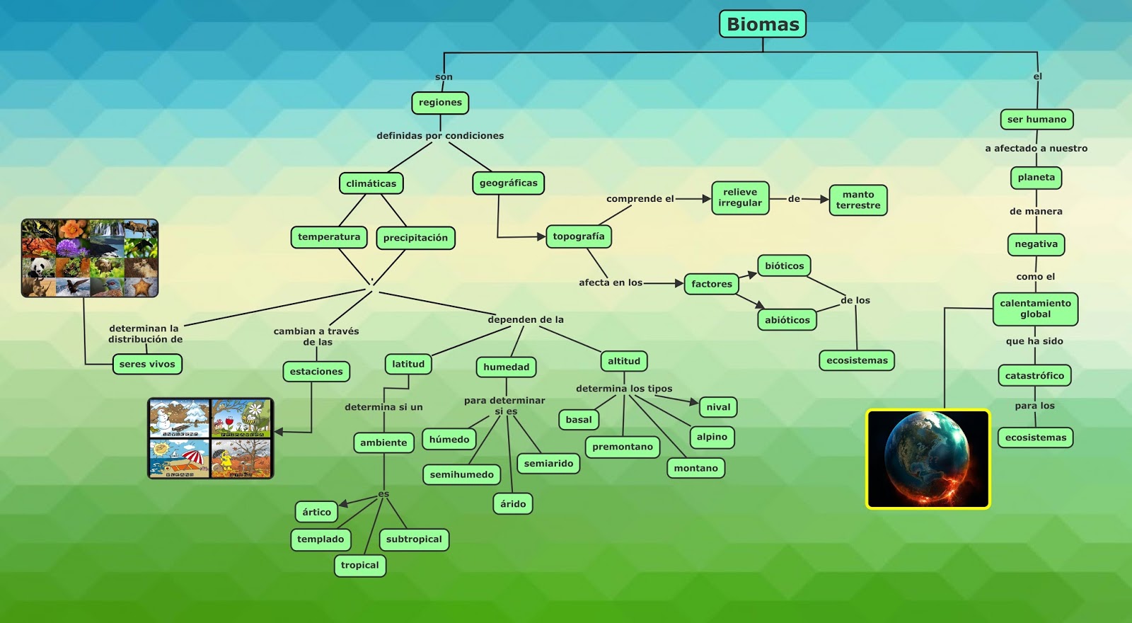 Biología IV 628 Mapa Conceptual de Biomas Biología IV 628 Mapa Conceptual de Biomas