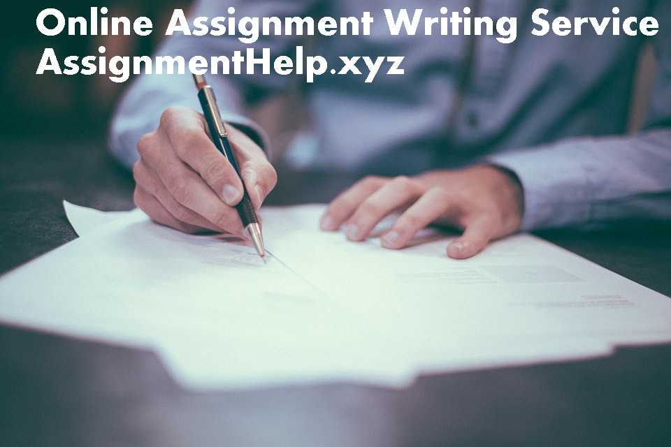 Customer Software Assignment Writing Service