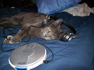 cat with headphones, cat laying down, dubstep cat
