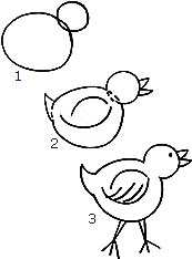 3 Langkah mudah menggambar anak ayam diawali 2 lingkaran bulat