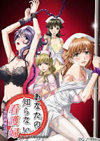 Anata no Shiranai Kangofu: Seiteki Byoutou 24 Ji