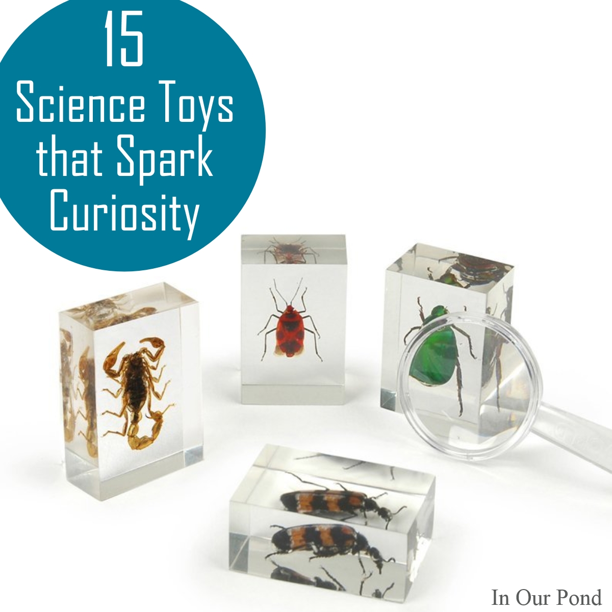Science Toys that Spark Curiosity