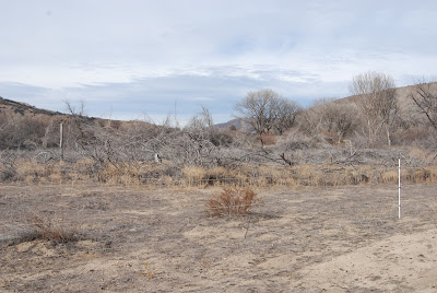 Drought Book Gerardo