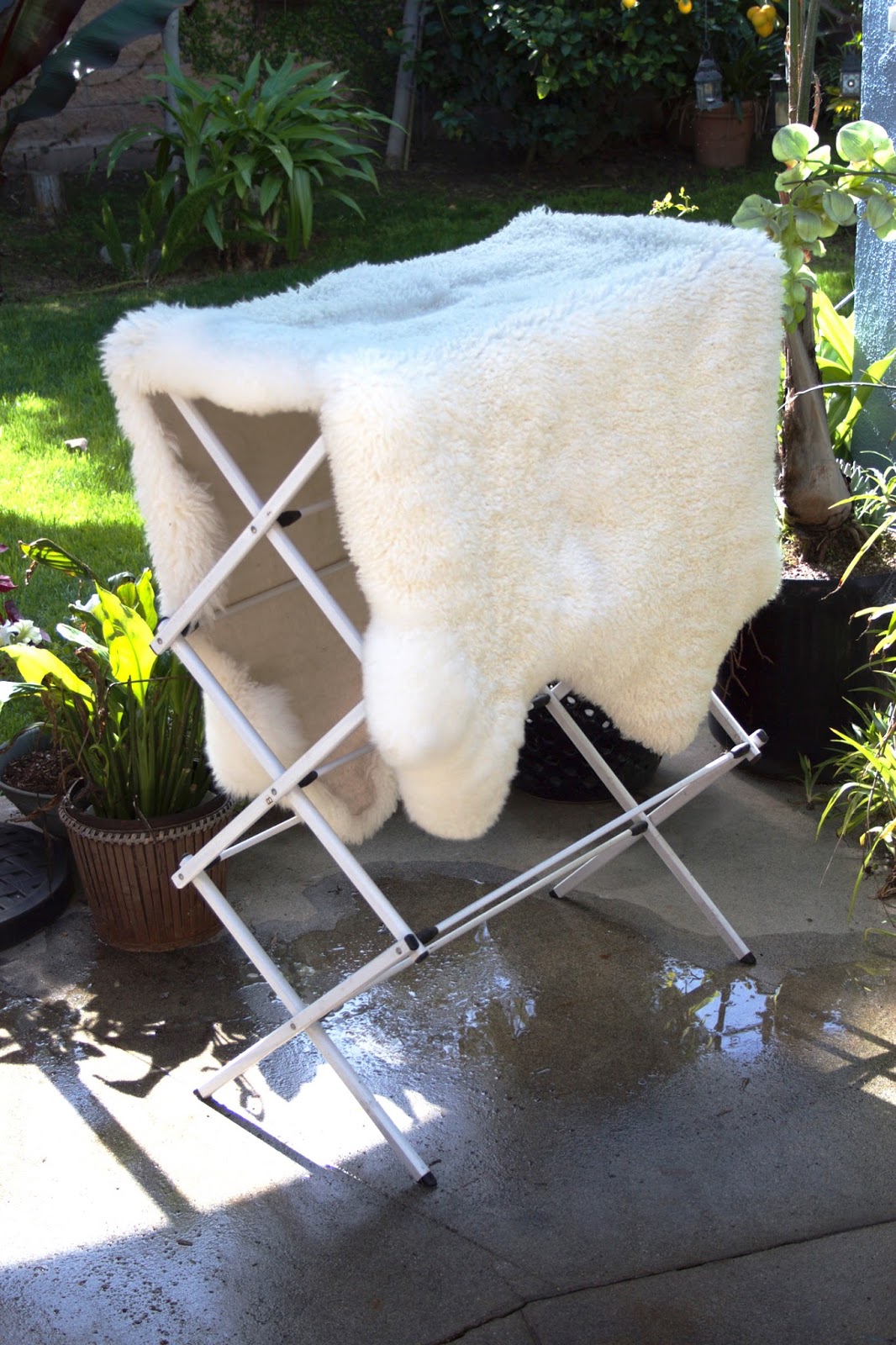 Over Fifty in Hollywood Taking Care of Your Sheepskin Rug