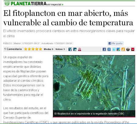 El fitoplancton en mar abierto, más vulnerable al cambio de temperatura.