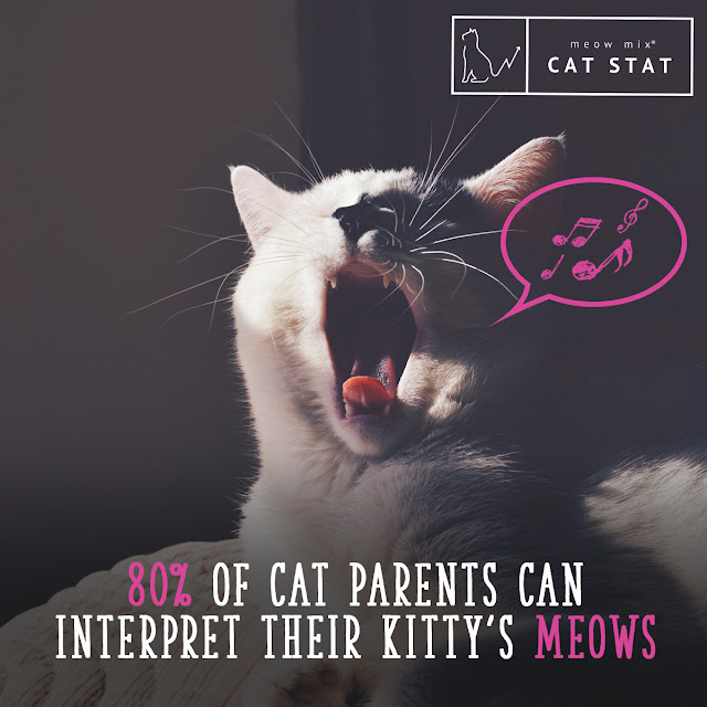 meow mix|purrfect together|meowsterpieces