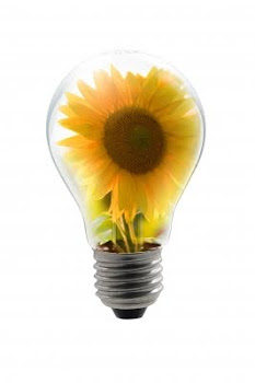 "Naturally Bright Ideas ~ Harness the power of nature!"