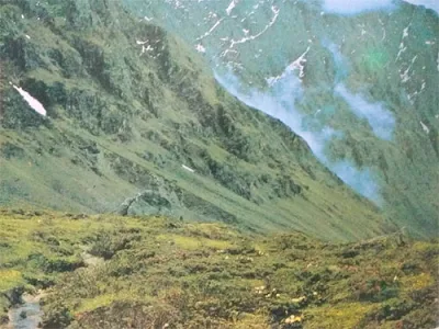 Foto Anggrek kerdil di Pegunungan Himalaya Nepal